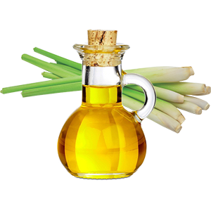 Lemon Grass Oil