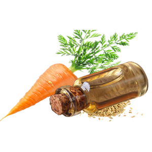Carrot Seed Oil.jpg