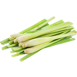 Lemon Grass