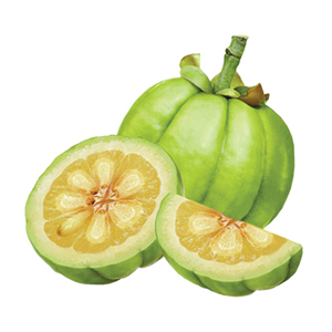 Fat Cutter Ingredients Garcinia Cambogia