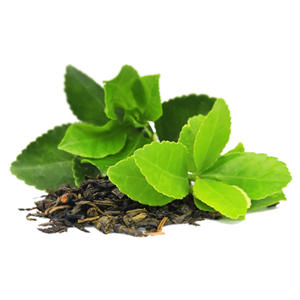 Fat Cutter Ingredients Green Tea Extract